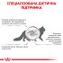 Сухий корм для дорослих котів ROYAL CANIN GASTRO INTESTINAL CAT 4 кг